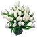 Белые тюльпаны. Тюльпаны - нежные, утонченные цветы для любителей весны и романтики. Сезон тюльпанов длится, как правило, с февраля по апрель. В остальное время их наличие ограничено, поэтому заказ лучше оформлять заранее.. Латвия